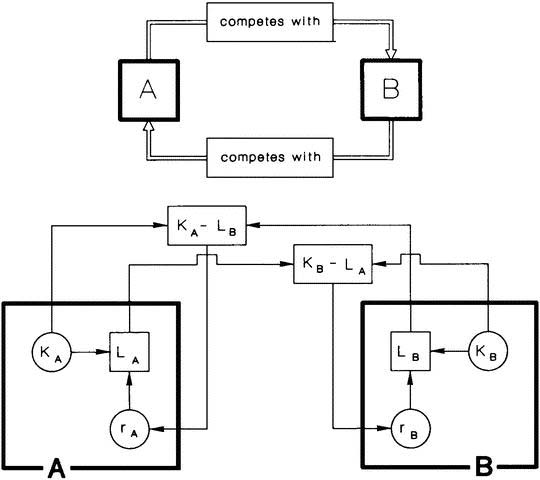 rev9813fig11a.jpg